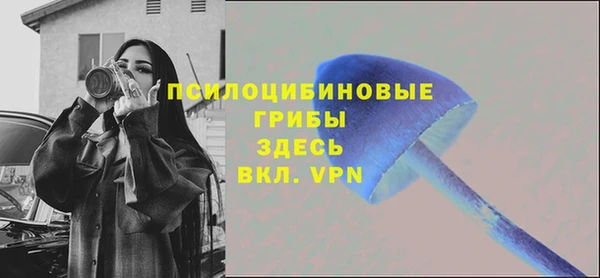 винт Пролетарск